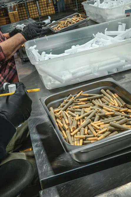 Prerolls on the production floor. Photo by Derek Kelly.